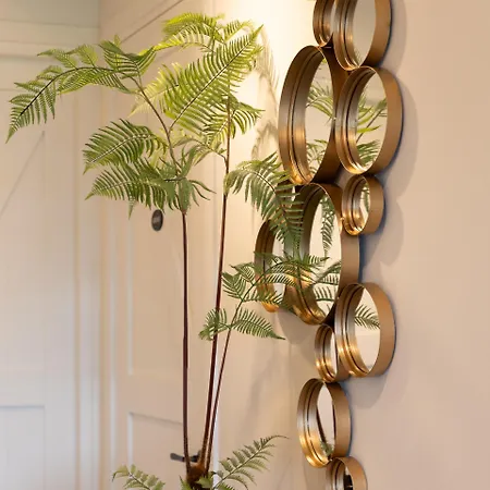 Bed & Breakfast Mijllerzicht