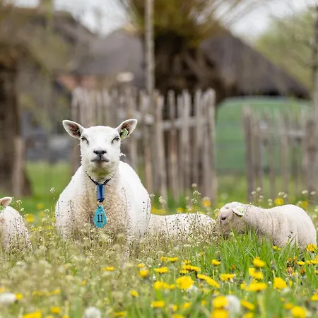 Mijllerzicht Lunteren