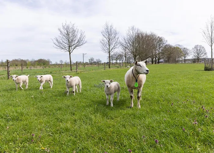 B&B Mijllerzicht 룬터렌