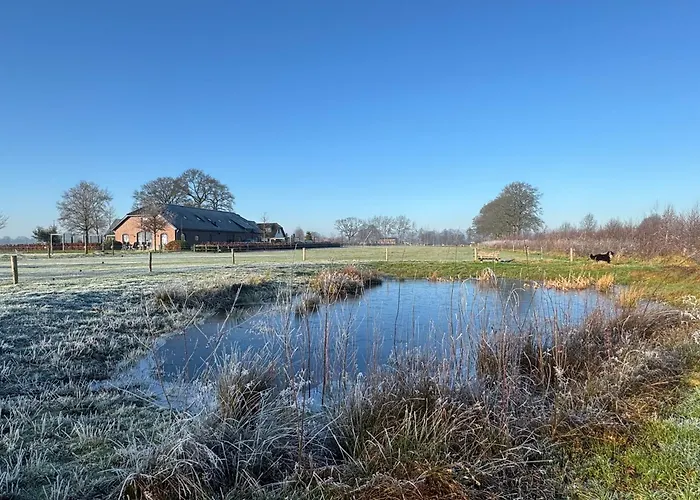 Mijllerzicht 룬터렌