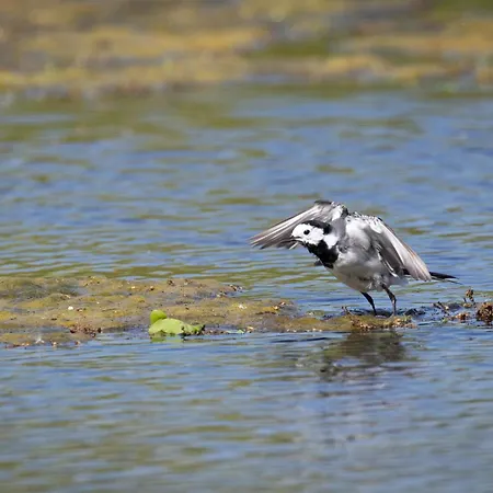 Mijllerzicht ルンテレン