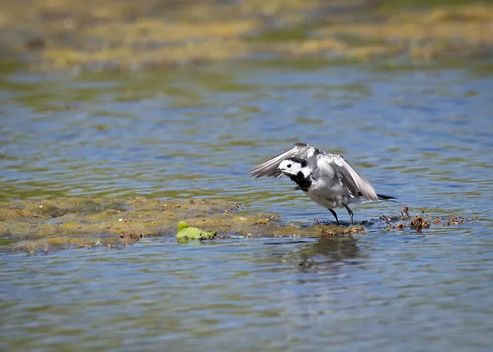 Mijllerzicht Lunteren