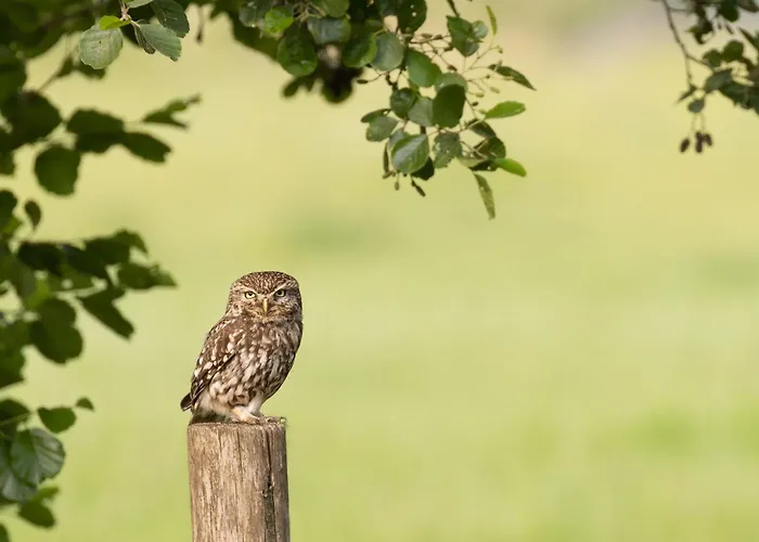 Mijllerzicht Nocleg ze śniadaniem 4*