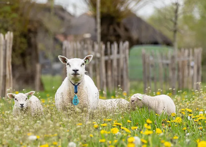 Mijllerzicht Lunteren